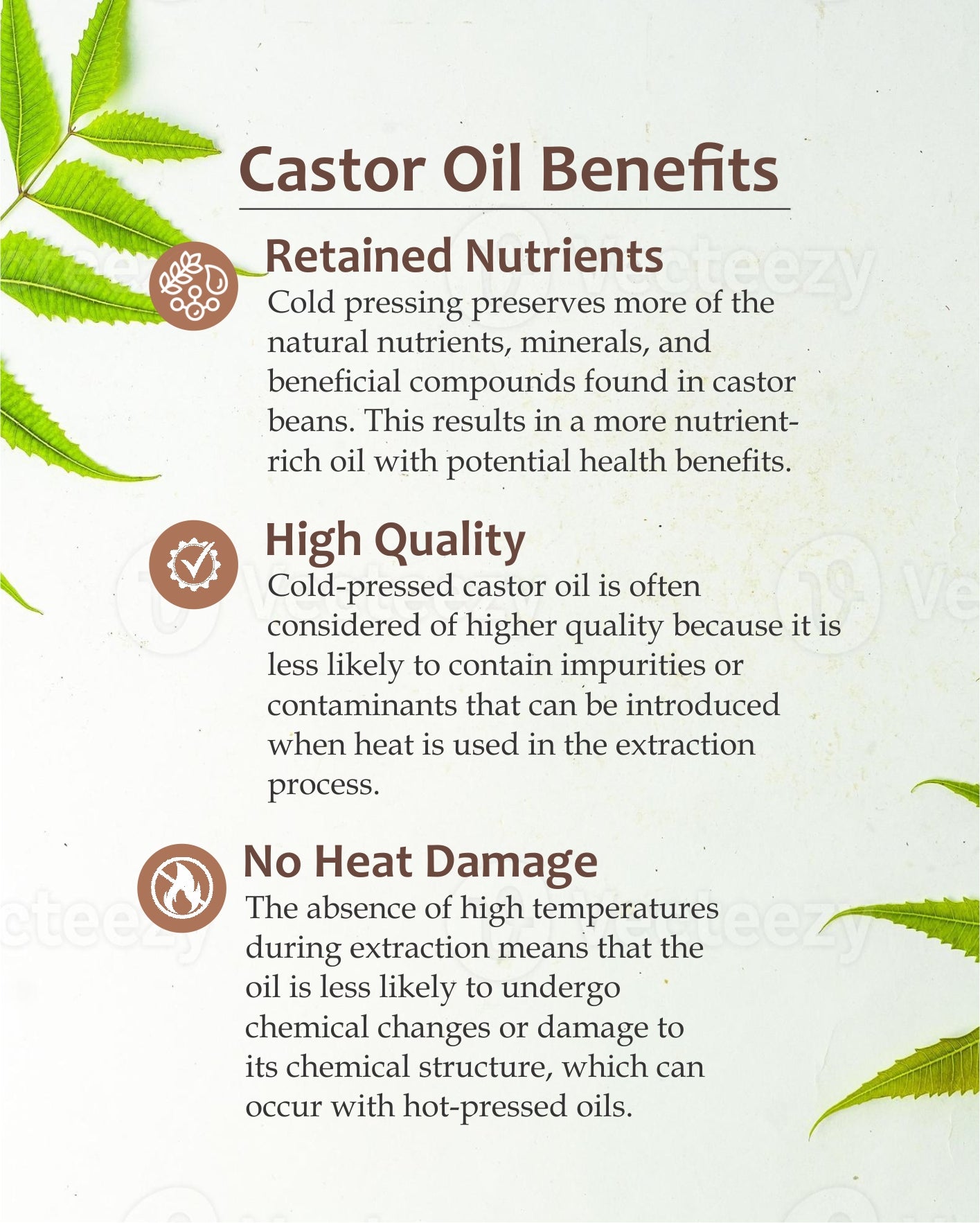 Castor Oil 100 ml