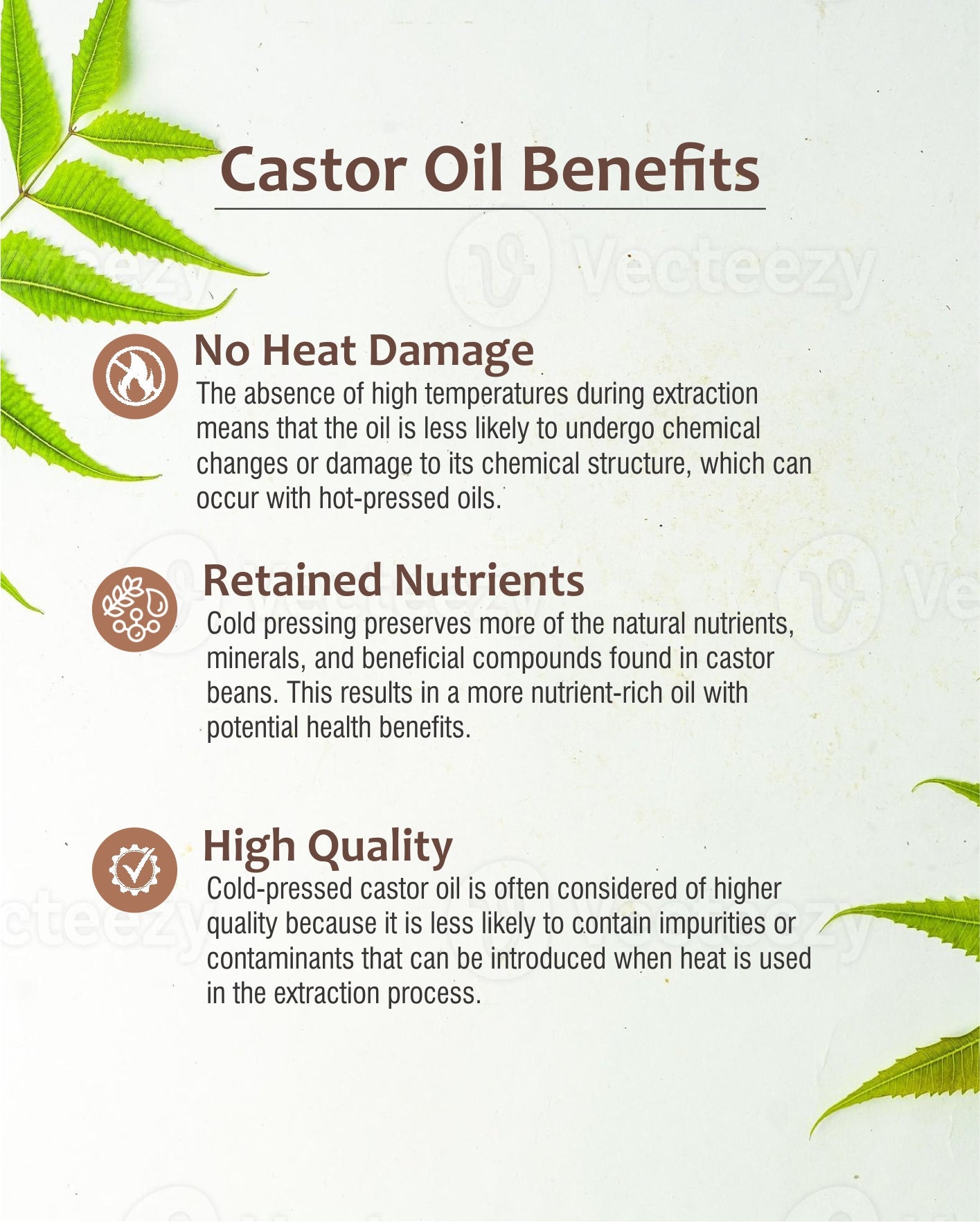 Castor Oil 100 ml
